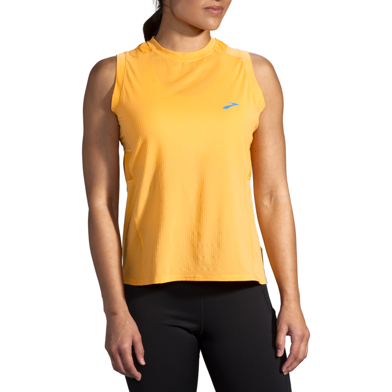 זעפרן ללא שרוולים באווירת נחל