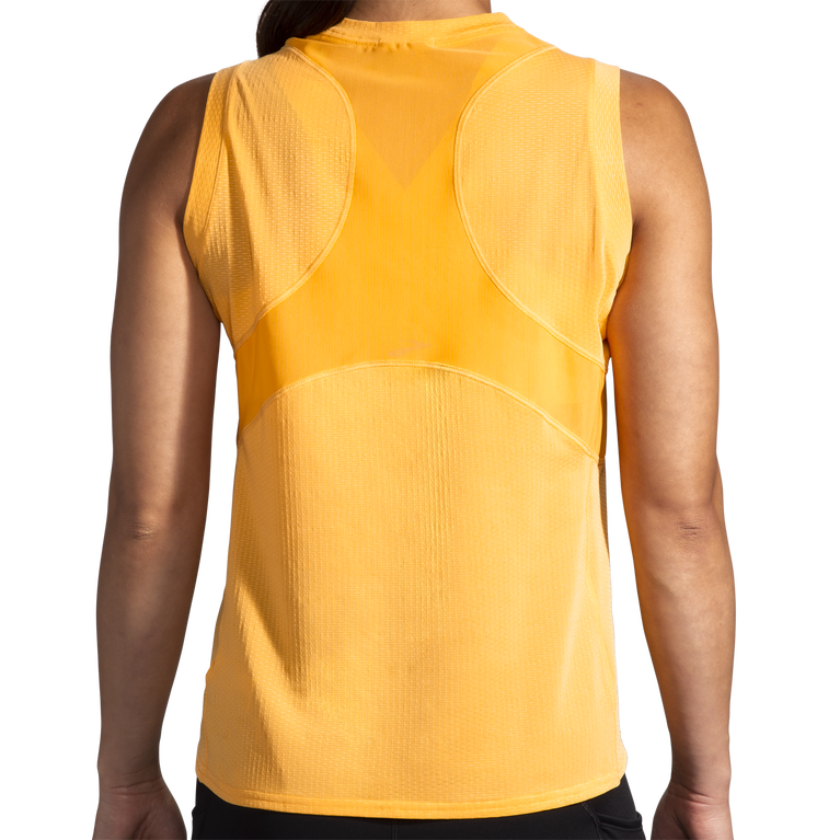 זעפרן ללא שרוולים באווירת נחל