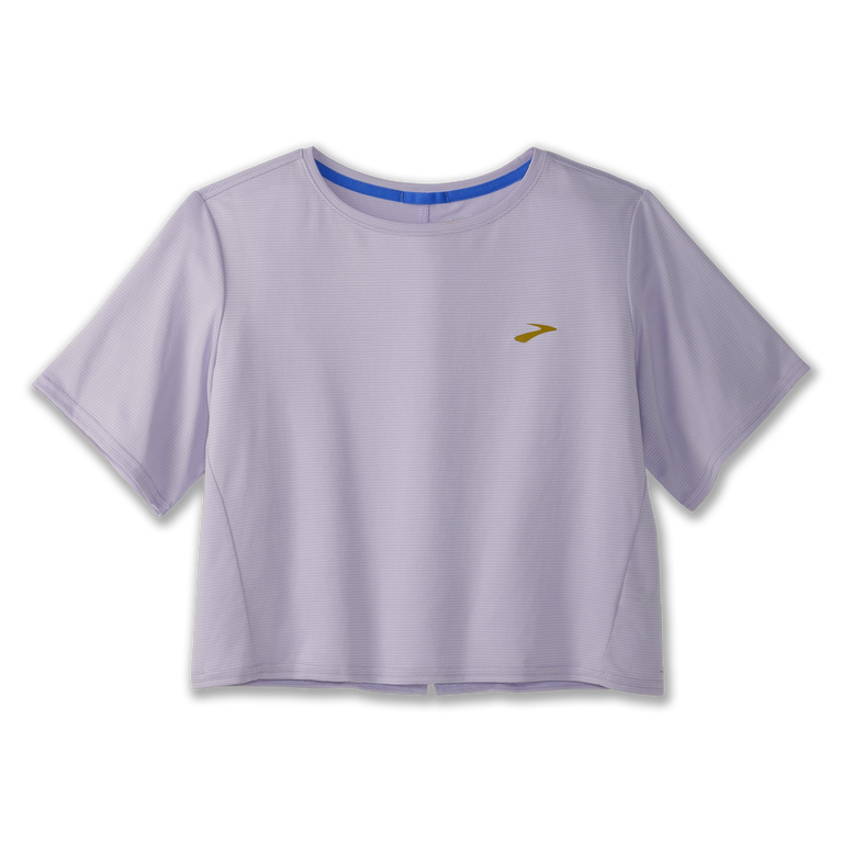 פלגים רצים בתוך רצועת קו סגול