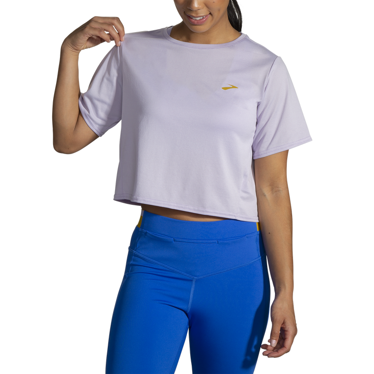 פלגים רצים בתוך רצועת קו סגול