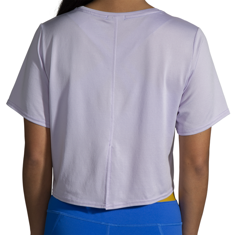 פלגים רצים בתוך רצועת קו סגול