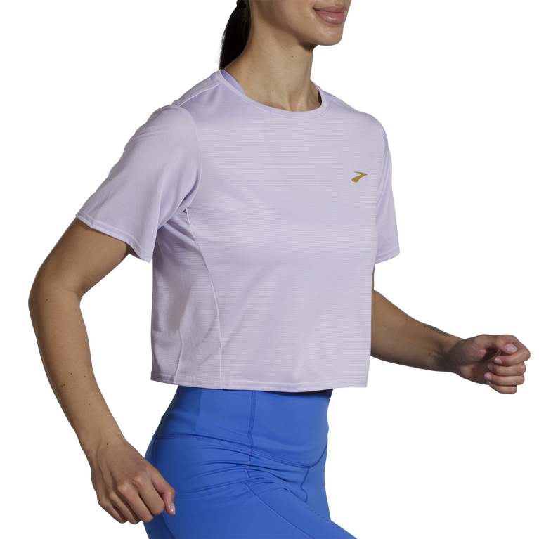 פלגים רצים בתוך רצועת קו סגול