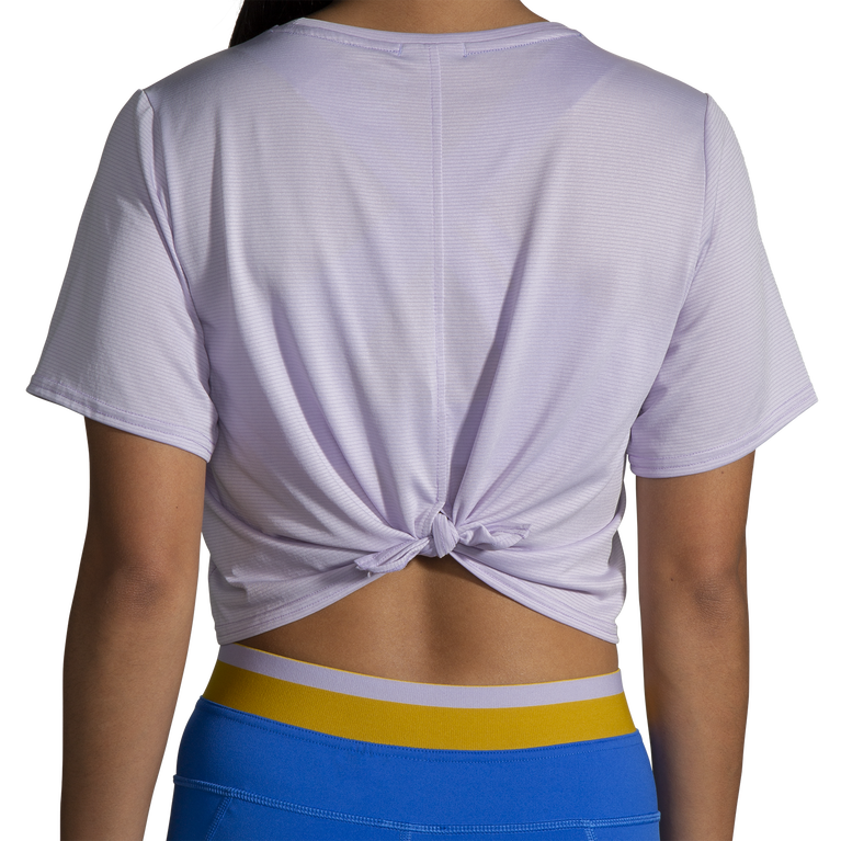 פלגים רצים בתוך רצועת קו סגול