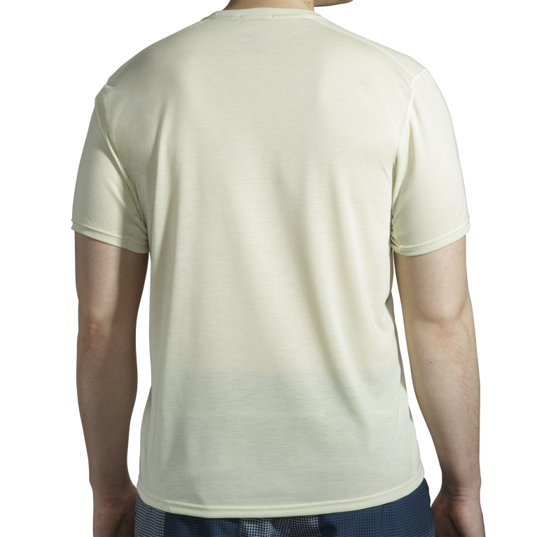 Brooks Distance גרפיקה שרוול קצר הת'ר דבש-br מורשת