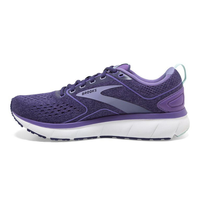 פלגים משדרים 3 סרט כחול-ורוניקה-לבנדר