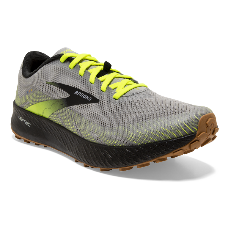 פלגים קטטה אפור-שחור