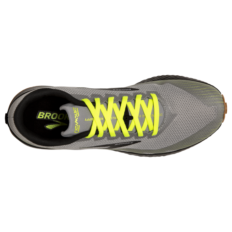 פלגים קטטה אפור-שחור