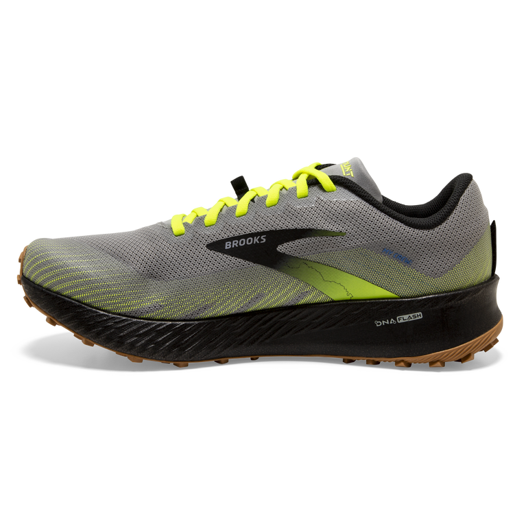 פלגים קטטה אפור-שחור