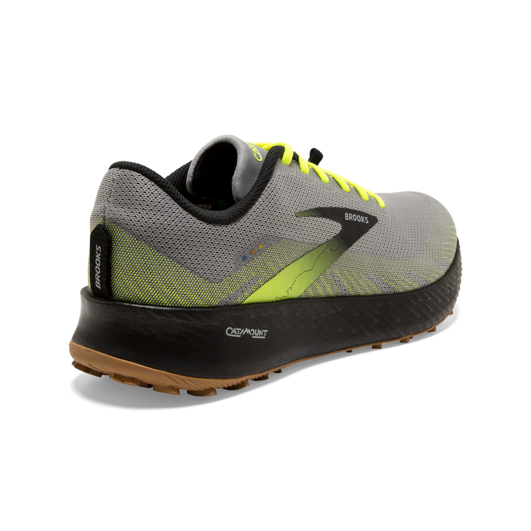 פלגים קטטה אפור-שחור