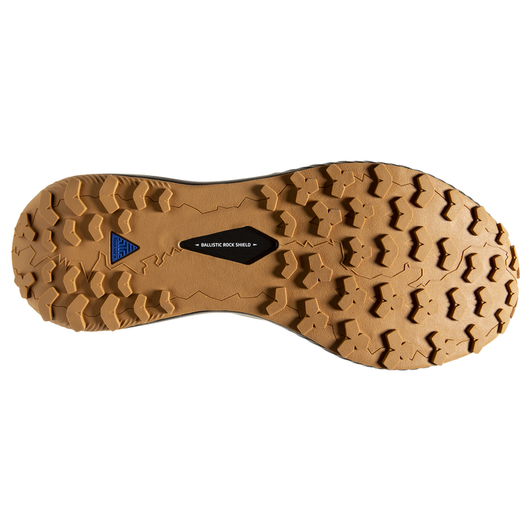 פלגים קטטה אפור-שחור