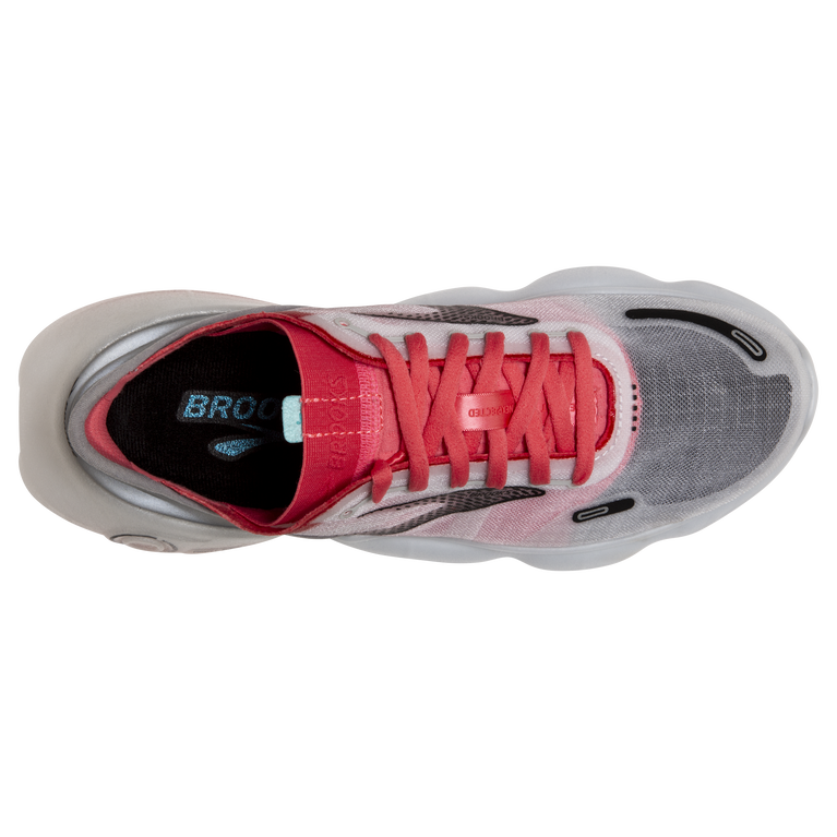 פלגי זוהר-בל אפור-אלמוגים-שחור