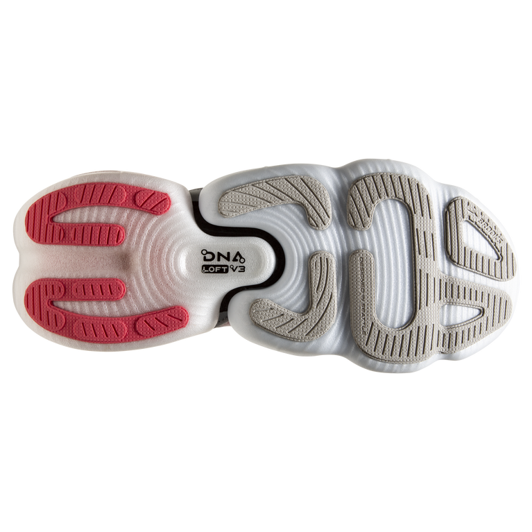 פלגי זוהר-בל אפור-אלמוגים-שחור