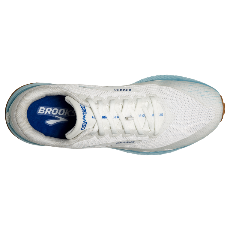 פלגים קטטה לבן-כחול