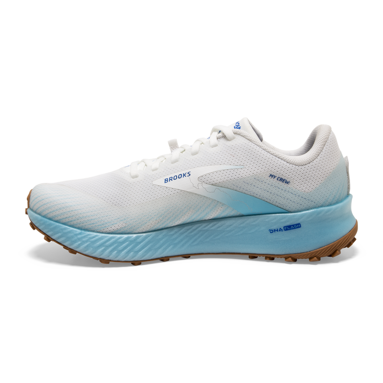 פלגים קטטה לבן-כחול