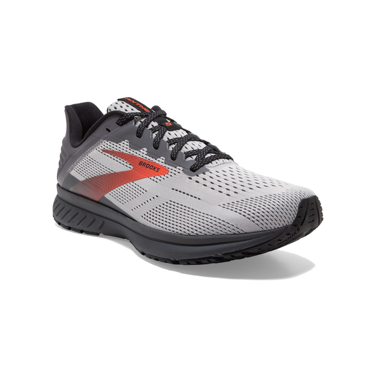 ברוק המנון 5 סגסוגת-פנינה-דלעת